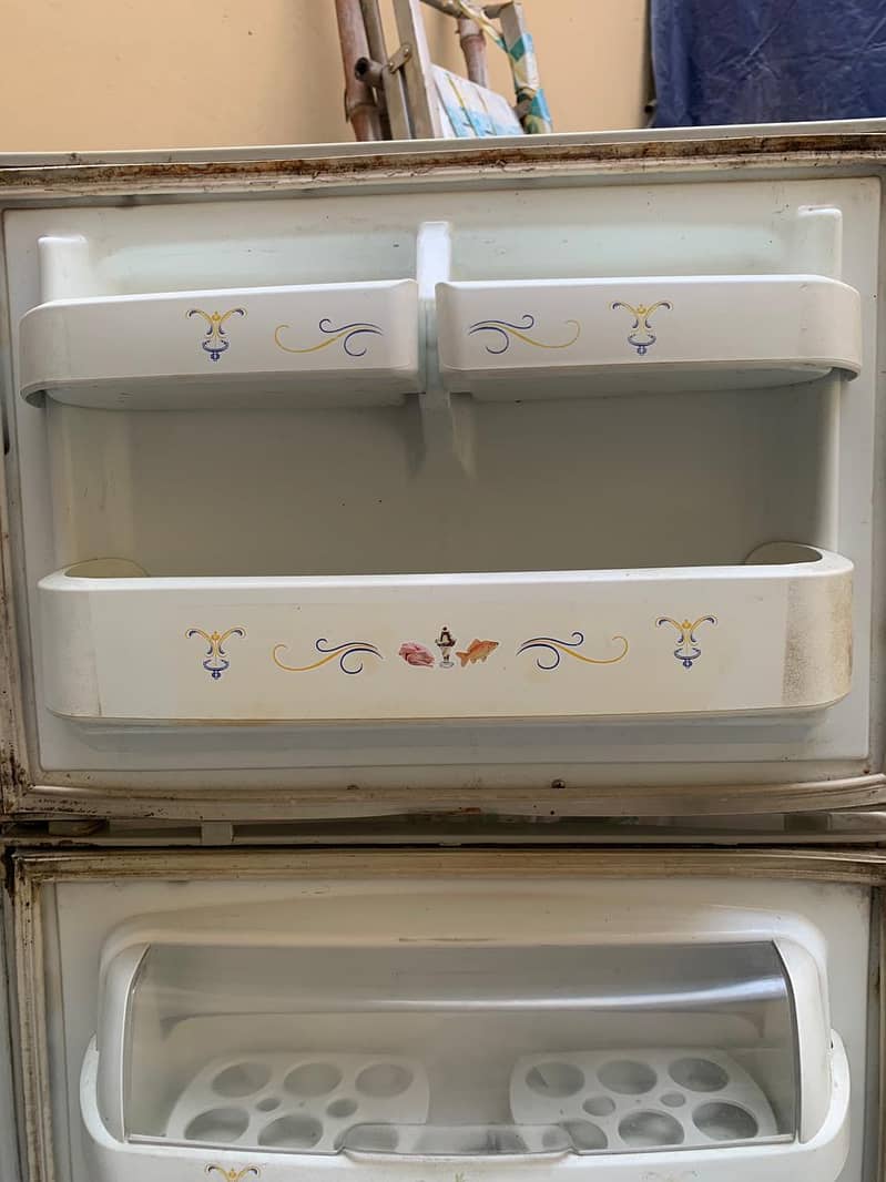 Waves Fridge 6