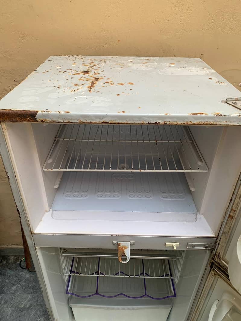 Waves Fridge 7