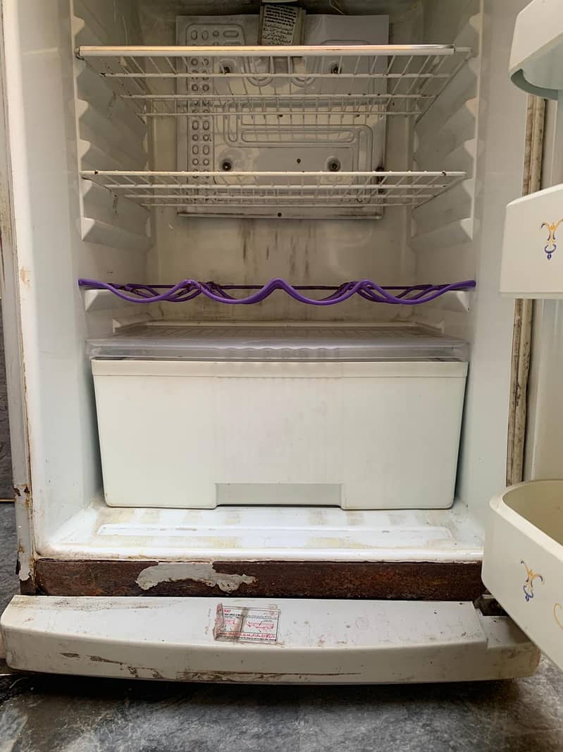 Waves Fridge 8