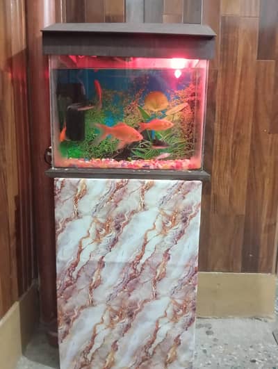 2 fish Aquarium sale All oky good condition
