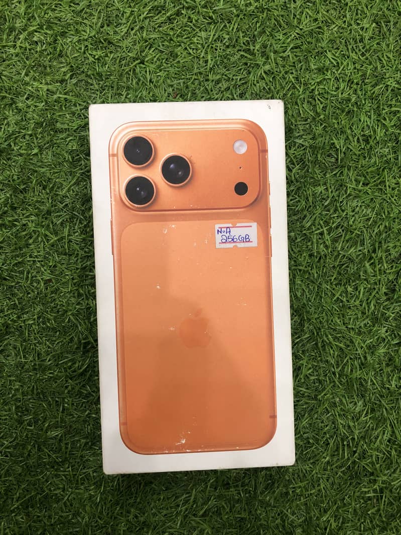 17 pro max 2