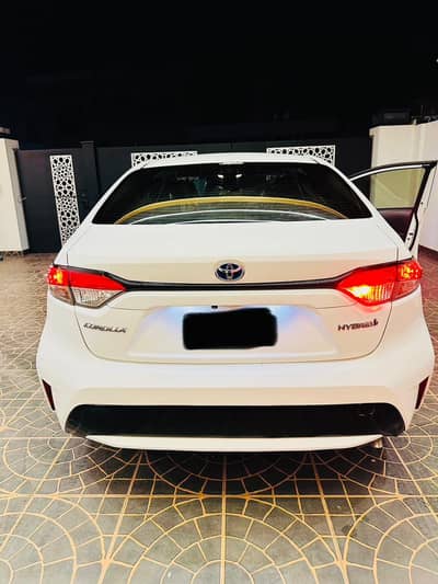 Treat for Toyota Lovers