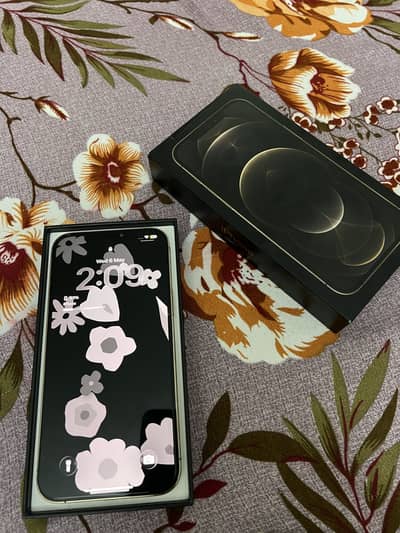 iPhone 12 Pro Max DUAL PTA APPROVED (256GB)