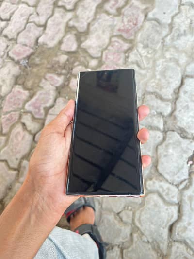 note 10 plus panel