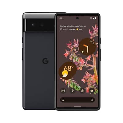 Google pixel 6