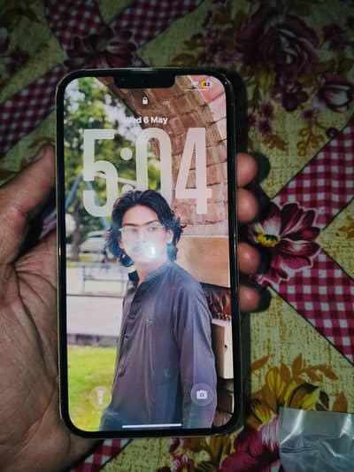 iPhone 13 Pro Max ( Factory Unlock )