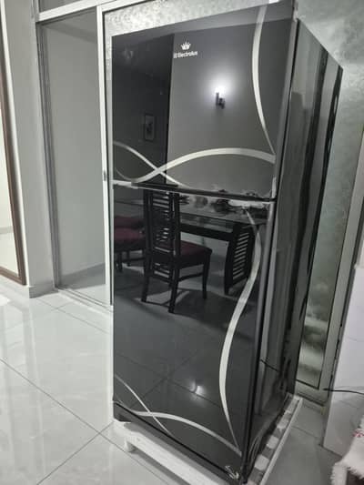Electrolux 8 Cubic Feet Royal Series Glass Door