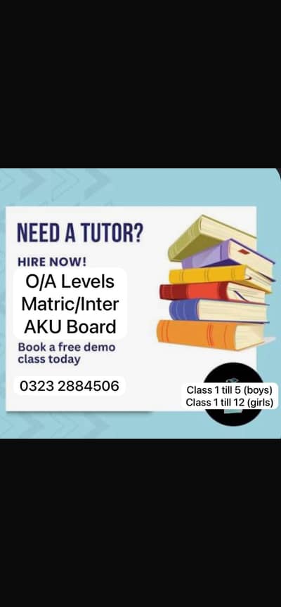 Online and Offline Tutor