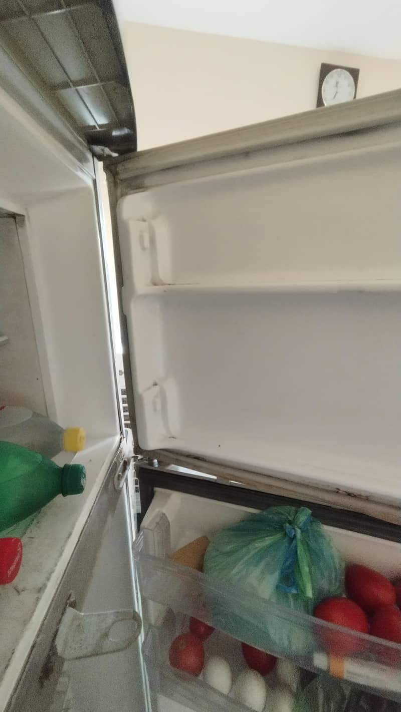 waves refrigerator 2008 model 8