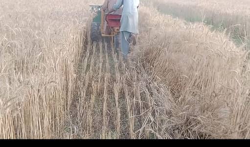 3-Wheel Reaper Machine for sale
