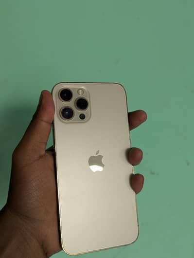 iphone 12 pro max non pta factory hk