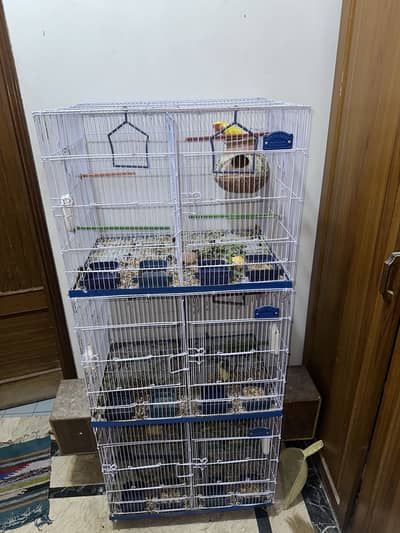 LOVEBIRDS WITH CAGE