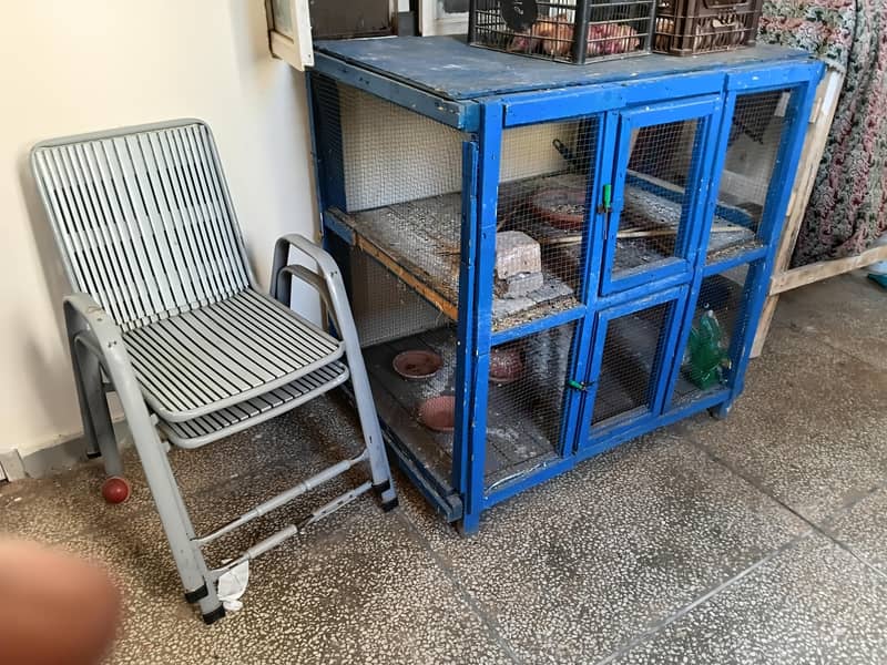 jumbo cage solid wooden 1