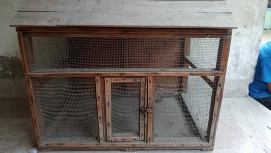 birds cage
