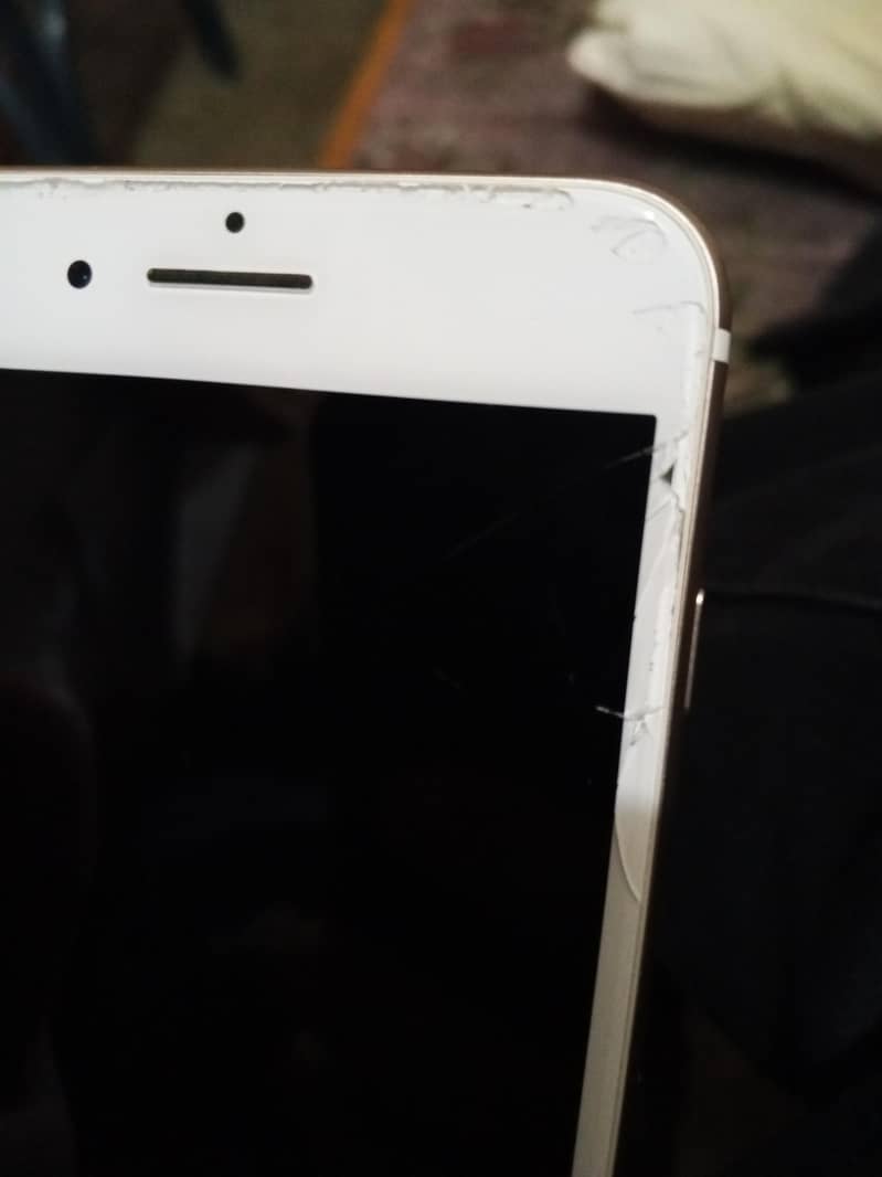 iphone 7 plus 1
