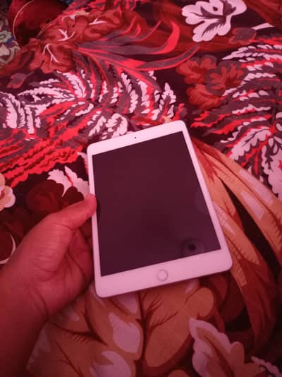 ipad mini 5