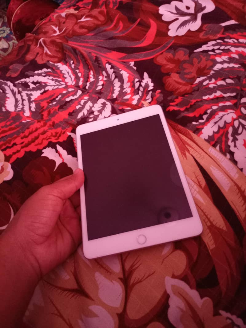 ipad mini 5 0
