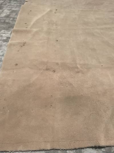 Thick carpet for sale