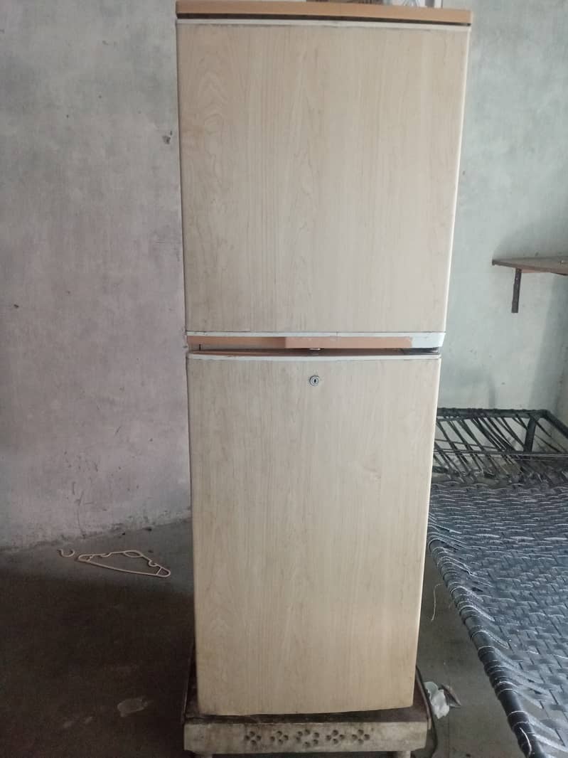 Medium size 3