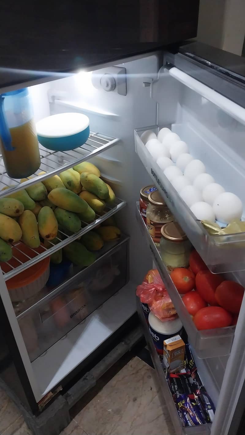 fridge 1