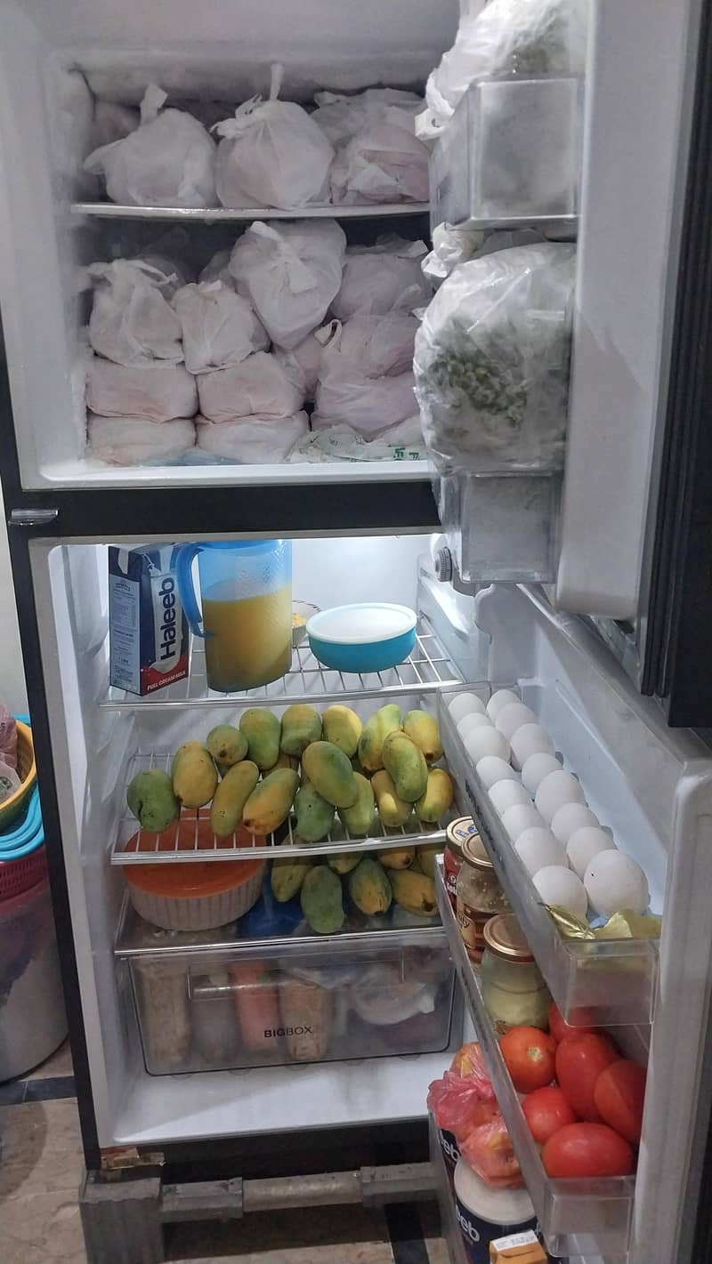 fridge 2