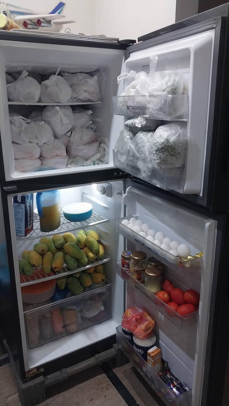 fridge 3