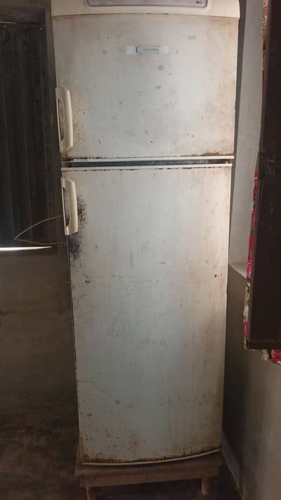 sale fridge