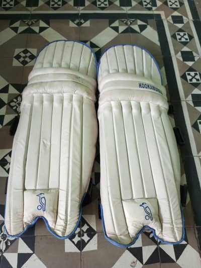 cricket kit without bat
