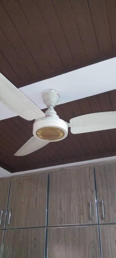 royal ceiling fan for sale