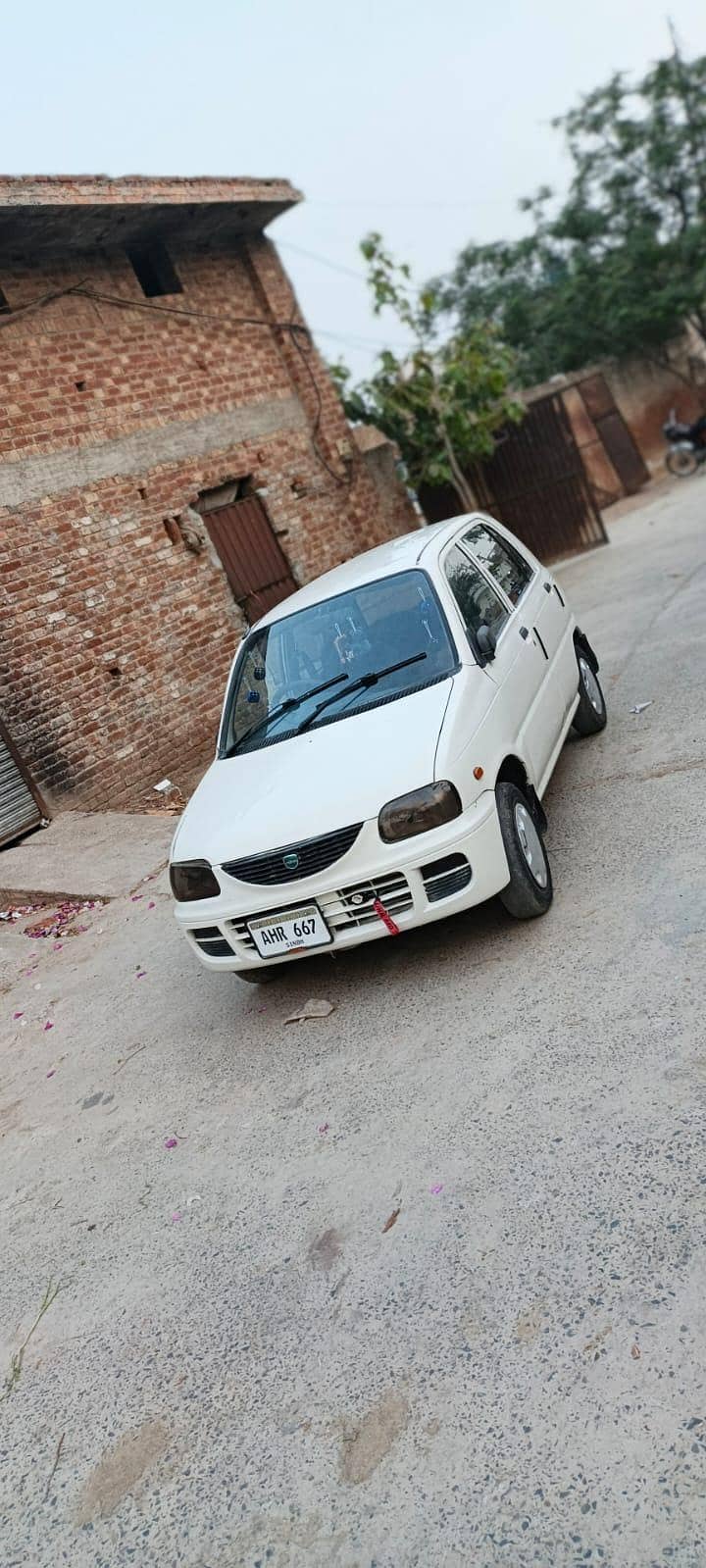 coure 5 model 2
