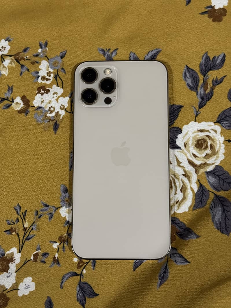 iPhone 12 Pro Max 0