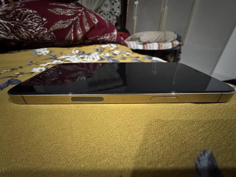 iPhone 12 Pro Max 5