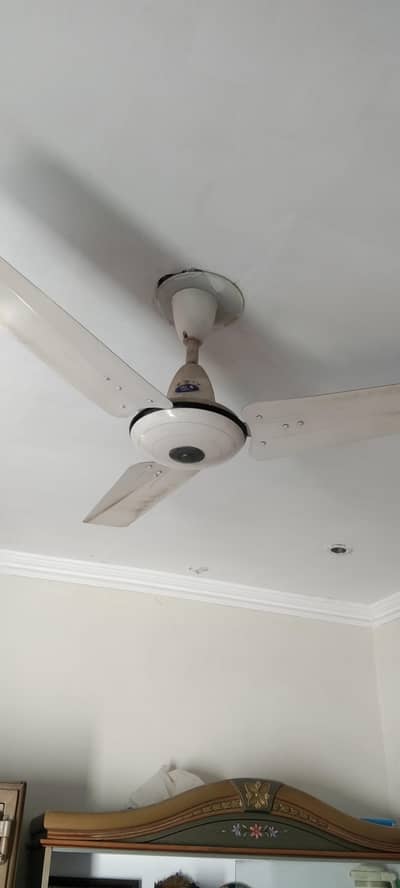 pak fan for sale