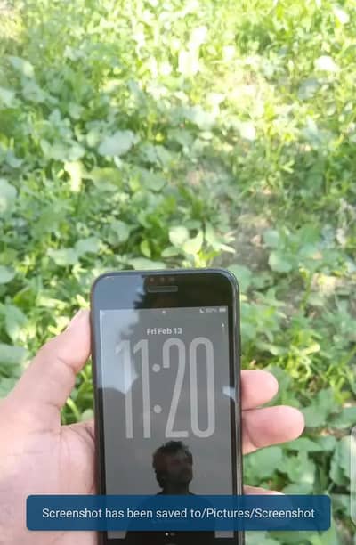 iphone se2