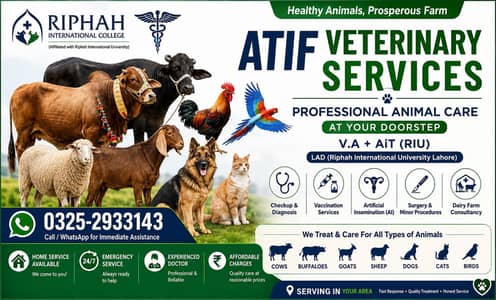 Animal Doctor Near You | Cow, Buffalo, Goat Treatment at Home