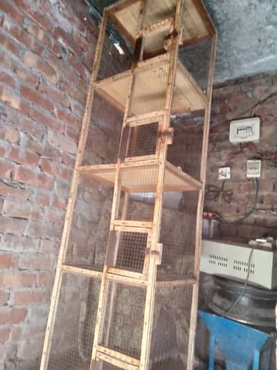 birds cage