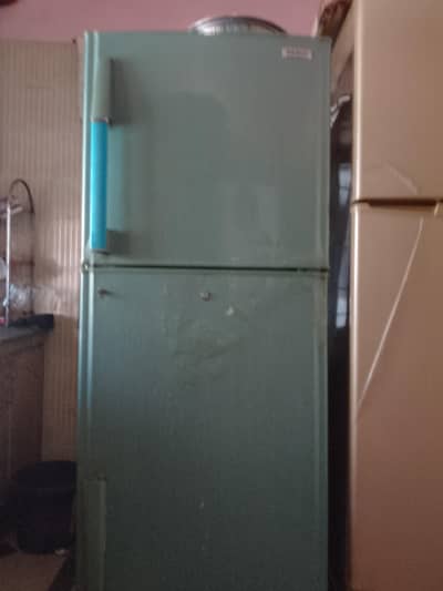 refrigerator & freezer