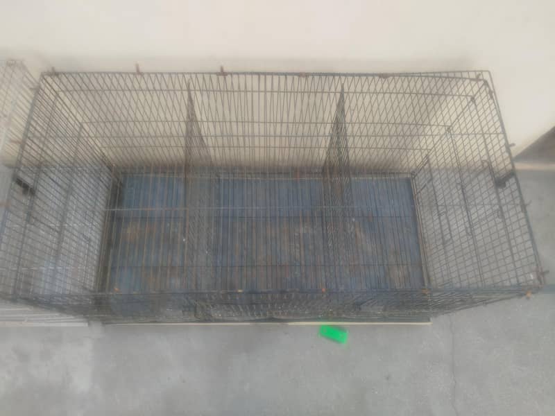 cages 1