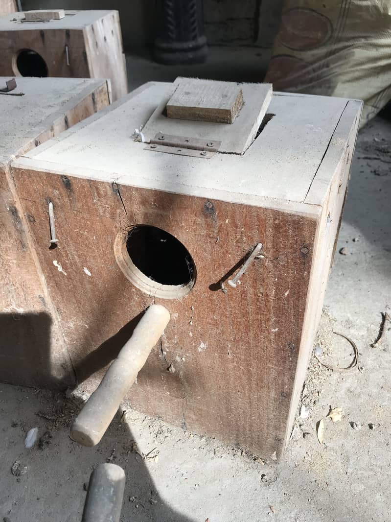 Birds boxes 0