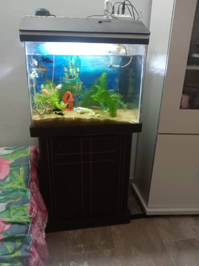 complete fish aquarium