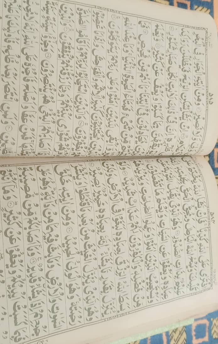 عالمہ فیمیل ٹیچر | قرآن ترجمہ تفسیر + درس نظامی + نعت خوانی | صرف بچیو 2