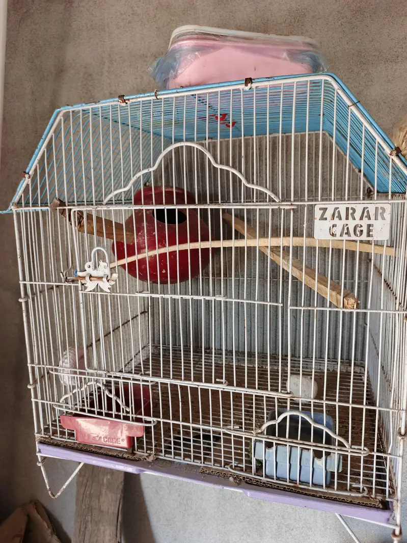 Bird Cage With Good Condition  10/9