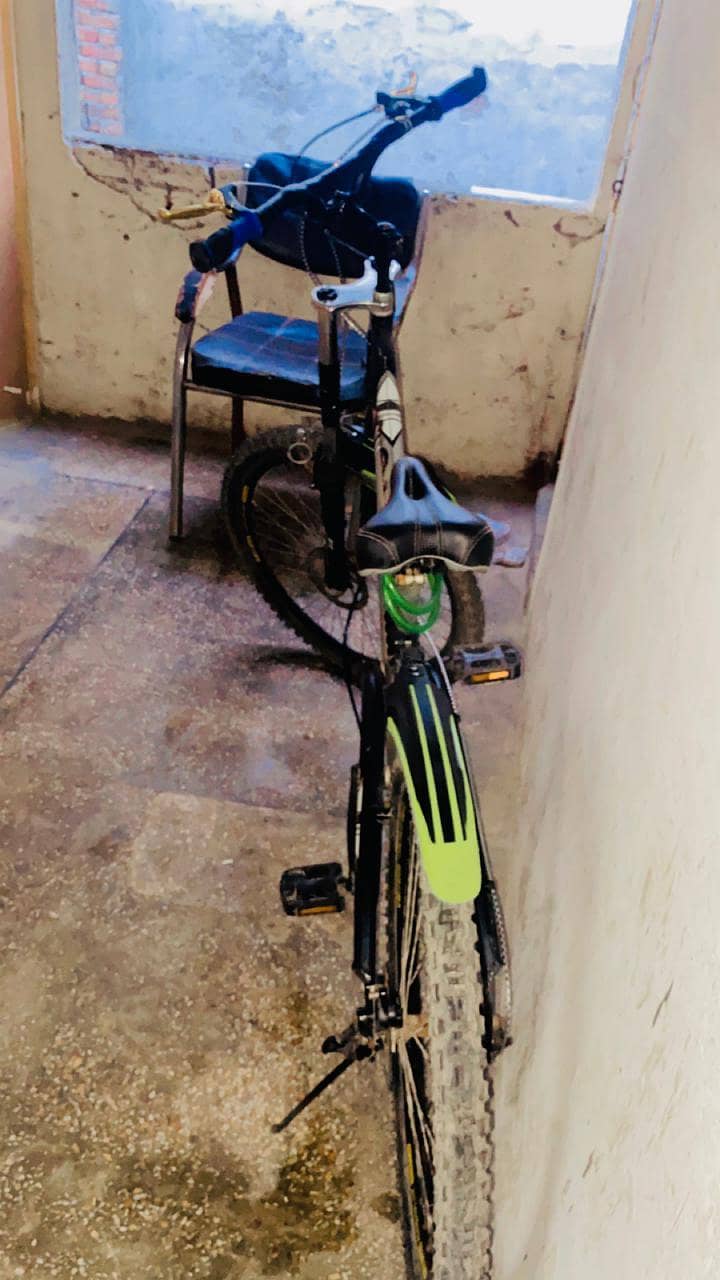 imported bicycle 1