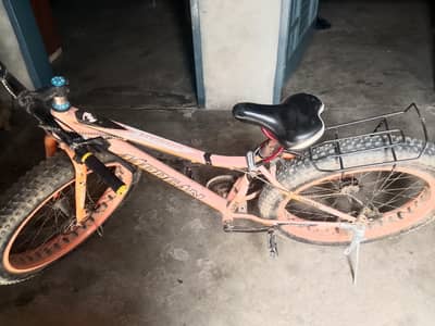 Grand bicycle