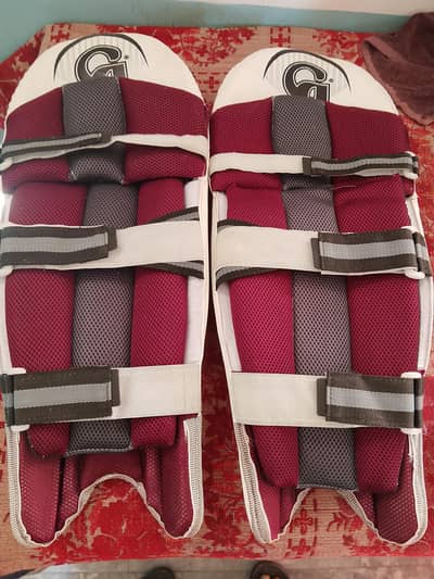 Cricket accessories