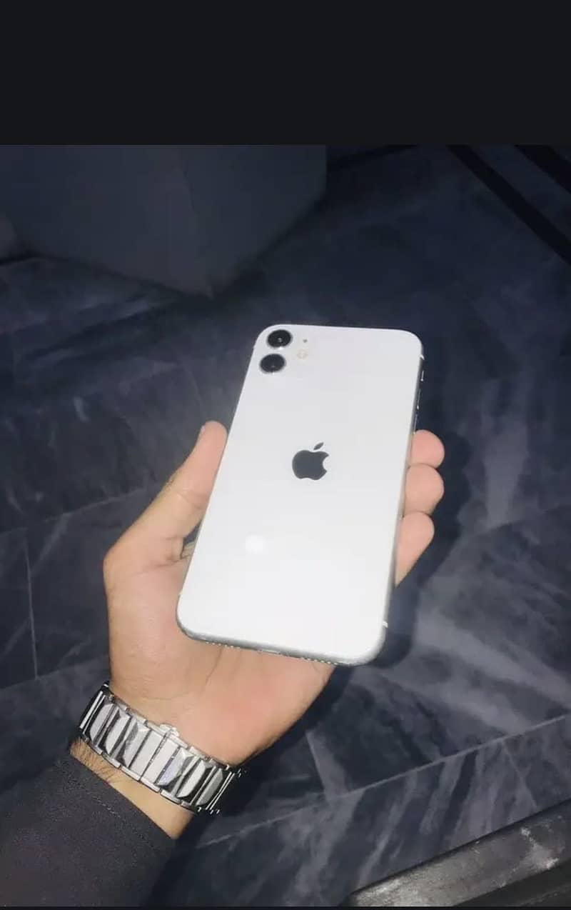 iPhone 11 0
