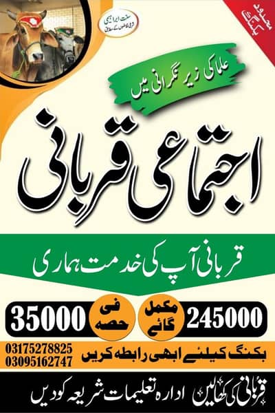 اجتماعی قربانی