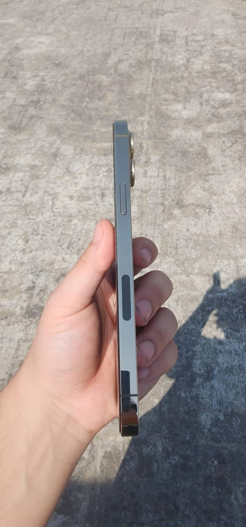 IPHONE 12 Pro Max 6