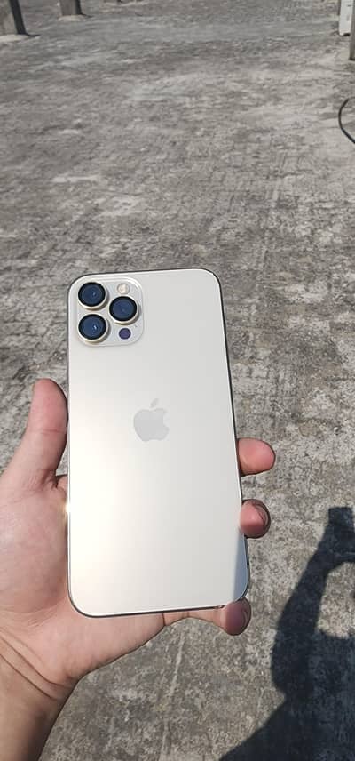 IPHONE 12 Pro Max