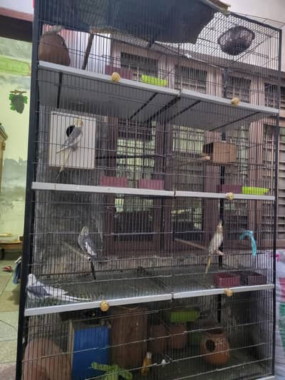 cage for sell abhi nuw ha